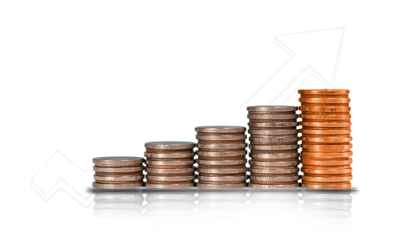 wealth-management-services